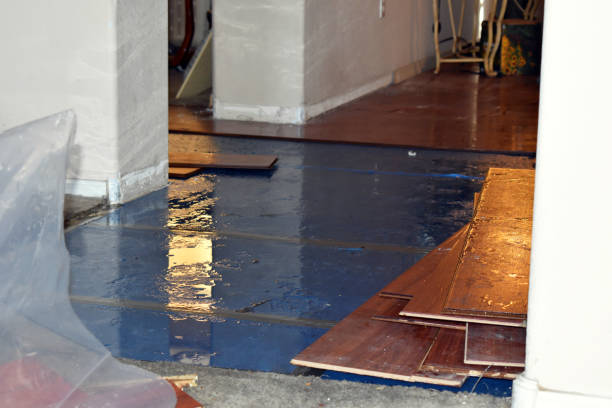Professional Basement Flood Cleanup technician working in White Plains, NC